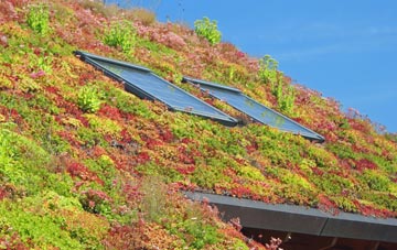 Craig living roof systems