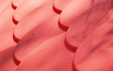 Craig plastic roof costs