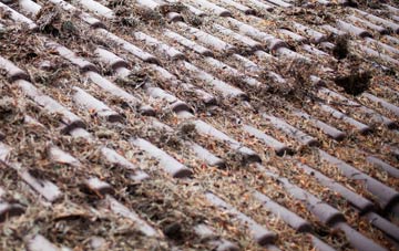 Craig roof cleaning companies