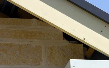 soffit repair Craig