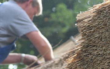 professional Craig thatchers