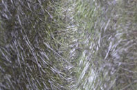 Craig fibreglass roof work