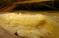 Craig pitch roof insulation